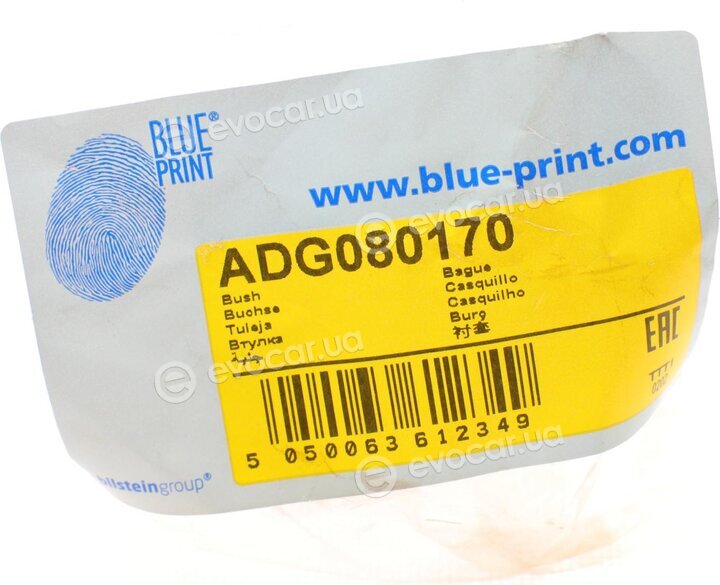 Blue Print ADG080170