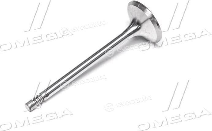 Gunes 4569