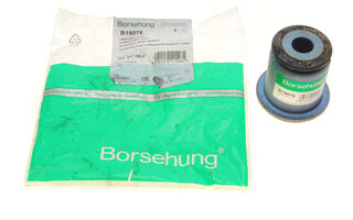Borsehung B19076