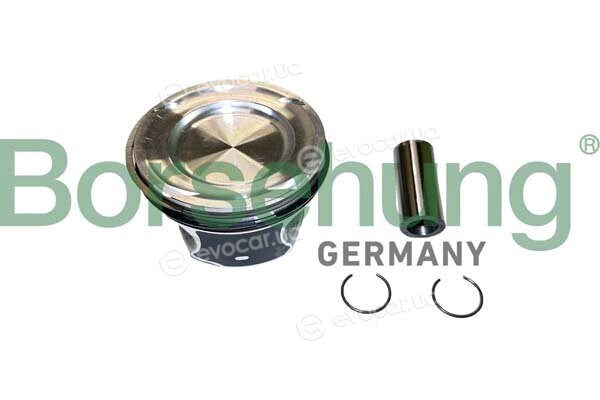 Borsehung B11148