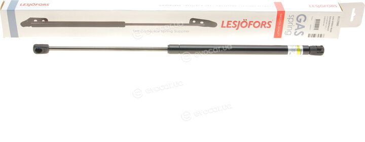 Lesjofors 8117000