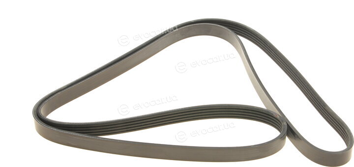 Dayco 5PK1850