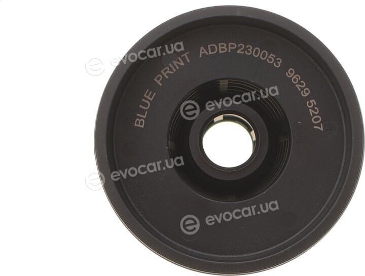 Blue Print ADBP230053