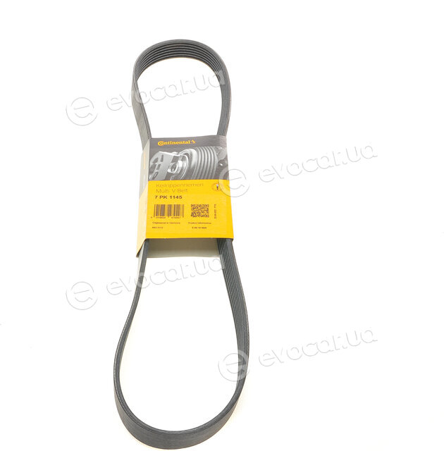 Continental 7PK1145