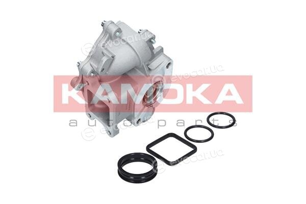 Kamoka T0049