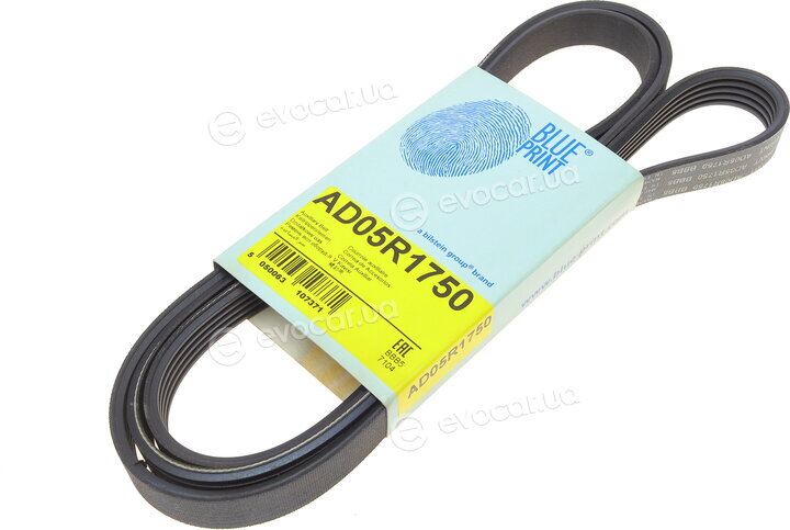 Blue Print AD05R1750