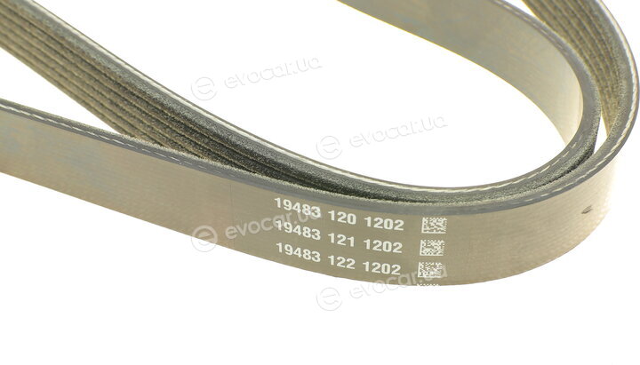 Dayco 6PK902S