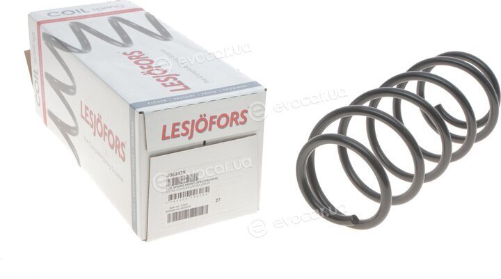 Lesjofors 4063429