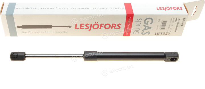 Lesjofors 8008423
