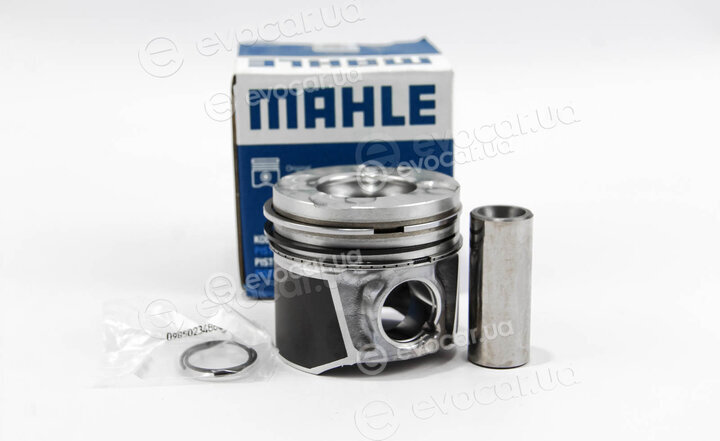 Mahle 010 04 00