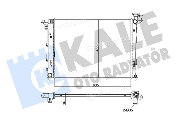 Kale 346145