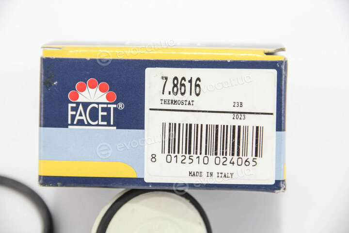 Facet 7.8616