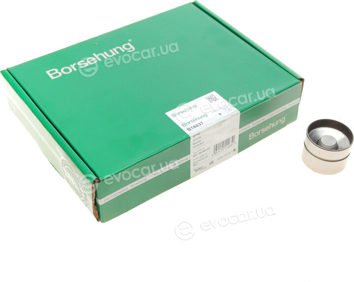 Borsehung B18837