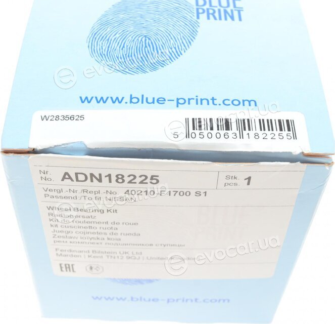 Blue Print ADN18225