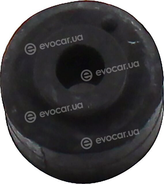 CTR GV0522