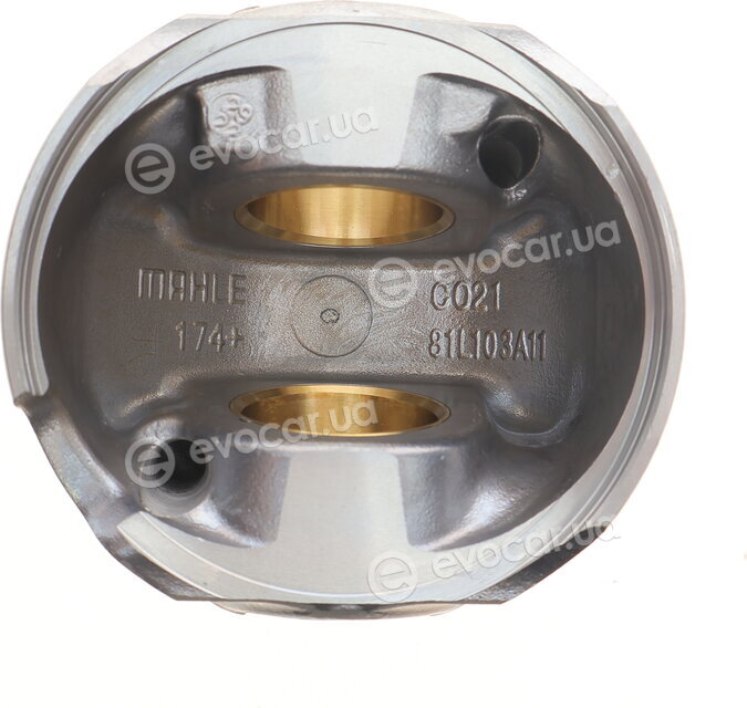 Mahle 030 98 00