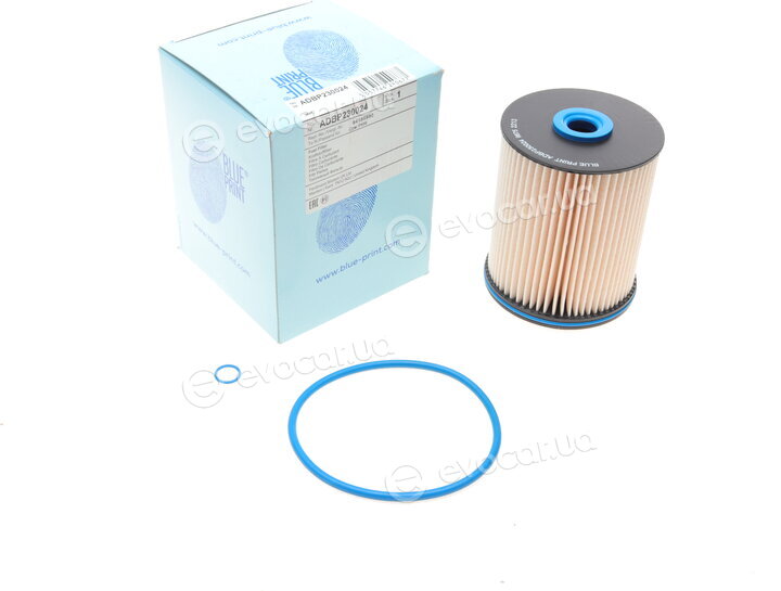 Blue Print ADBP230024