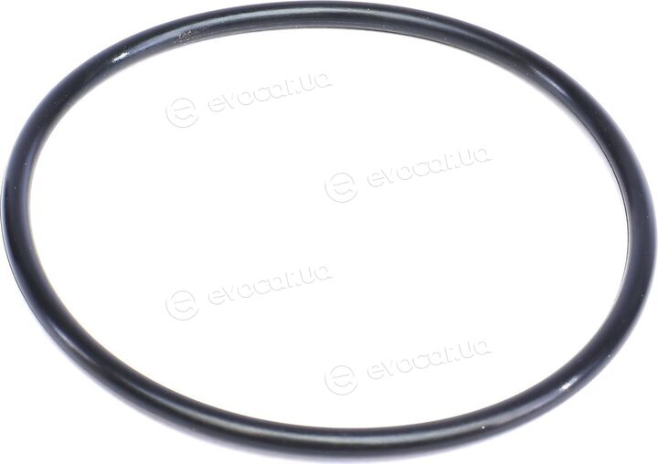 Solgy 102060