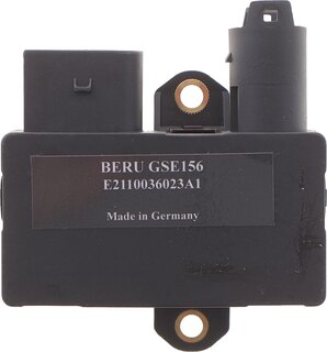 Beru GSE156