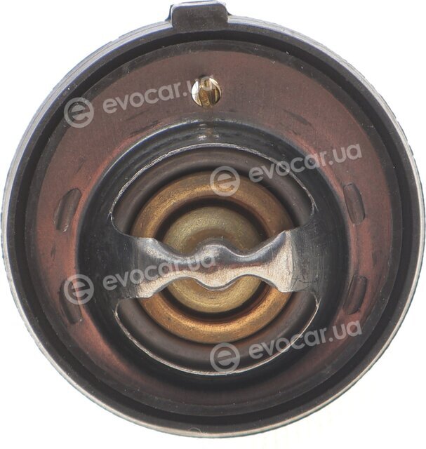 Motorad 340-91K