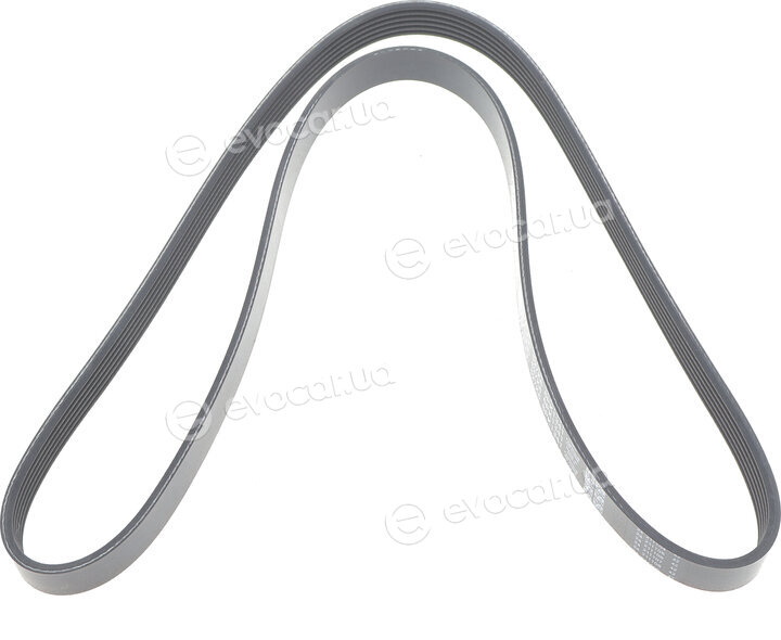 Dayco 6PK1341
