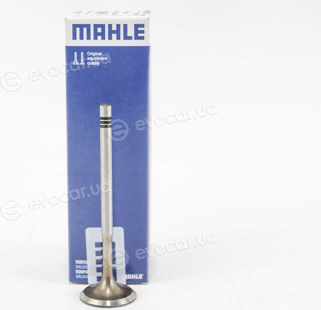 Mahle 029 VE 30528 000