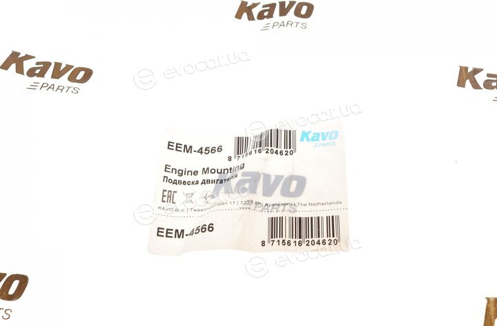 Kavo EEM-4566