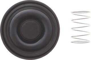 Solgy 124042
