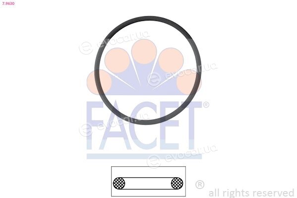 Facet 7.9630