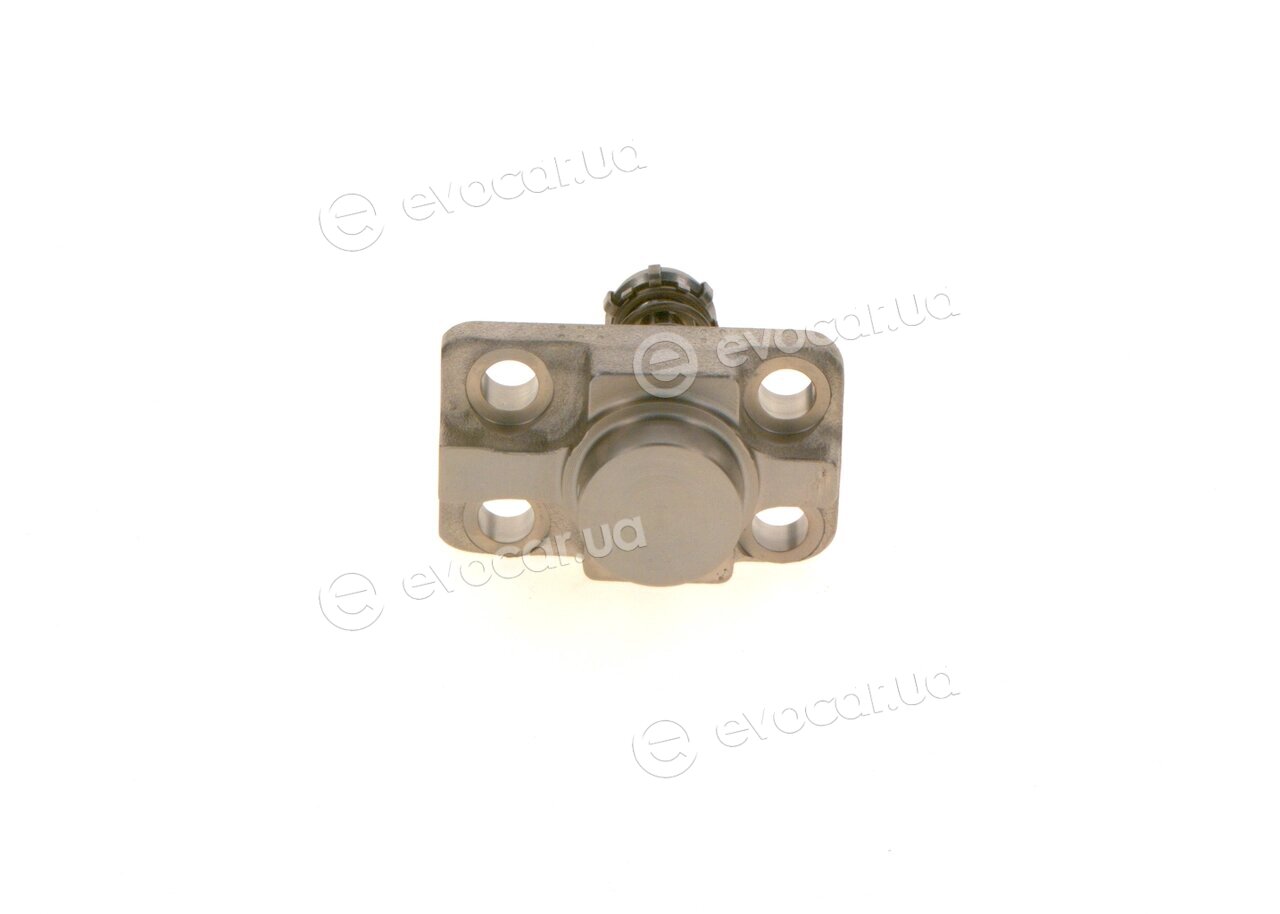 Bosch F 01M 101 781