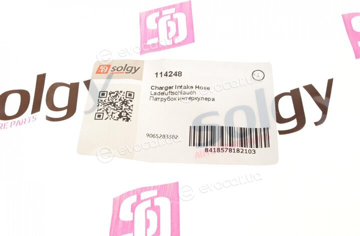 Solgy 114248
