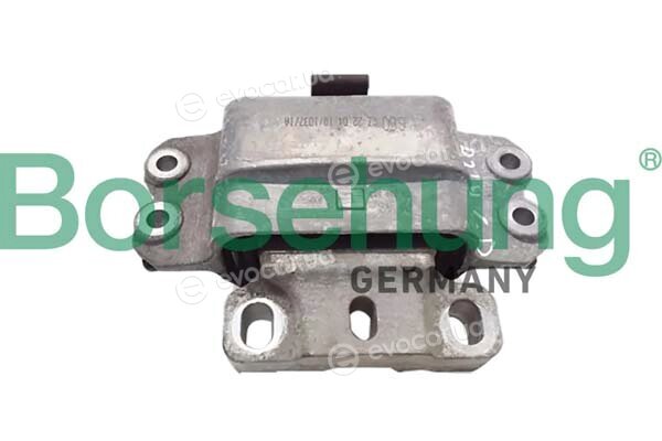 Borsehung B10991