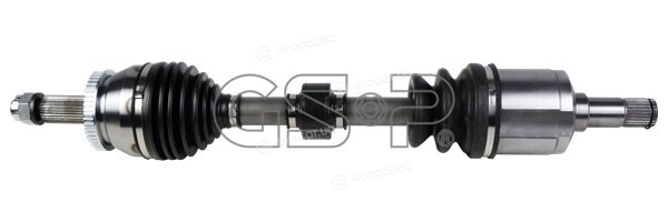 GSP 224462