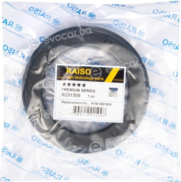 Raiso RC01509