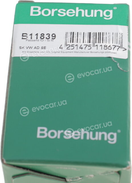 Borsehung B11839