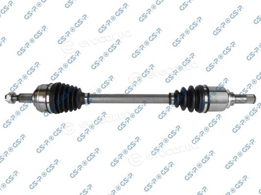 GSP 250383