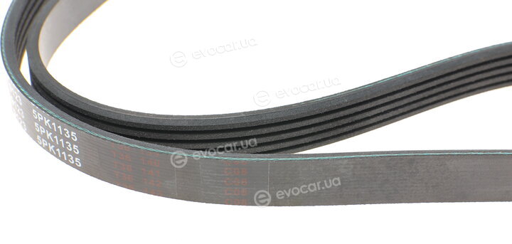 Blue Print AD05R1135
