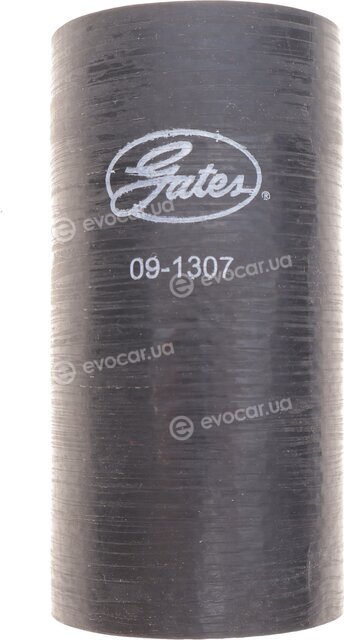 Gates 09-1307