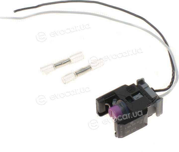 Solgy 412010