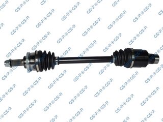 GSP 257061