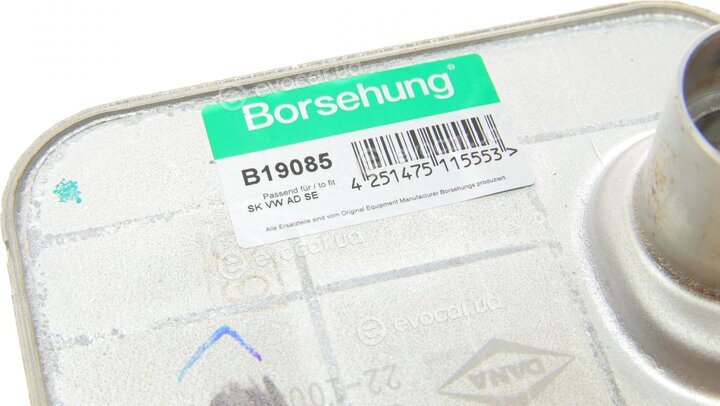 Borsehung B19085