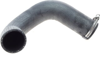 Hutchinson 110001