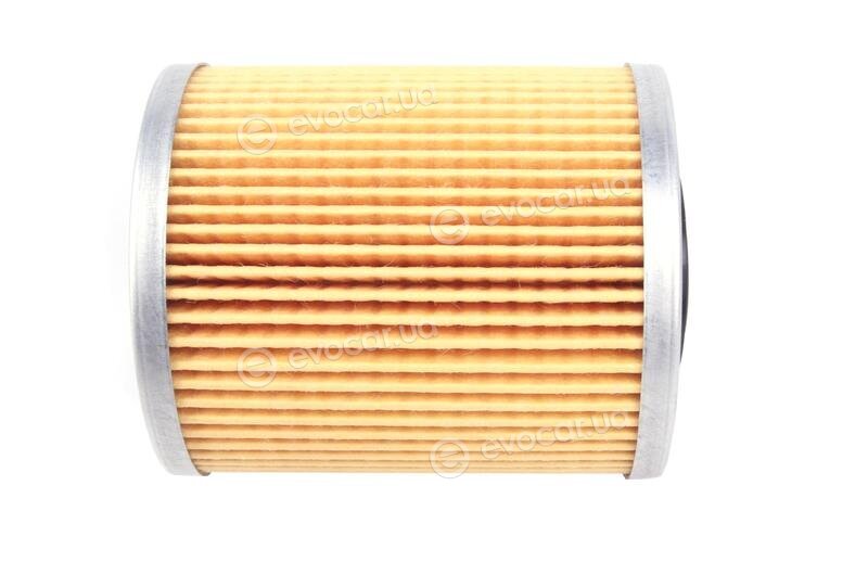 Solgy 102023