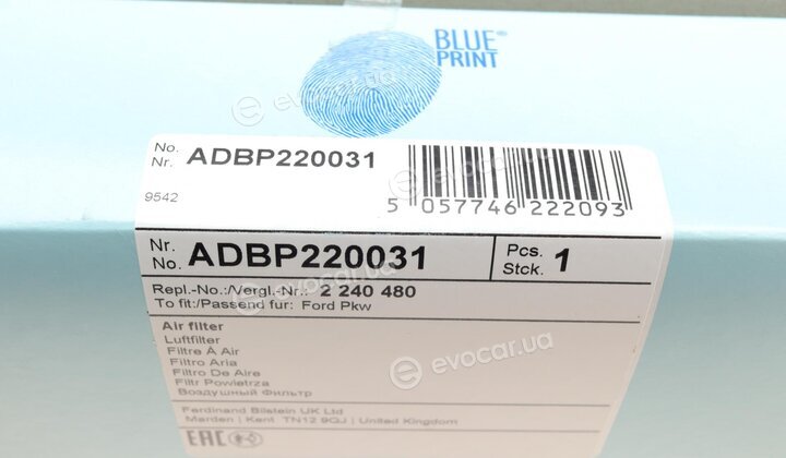 Blue Print ADBP220031