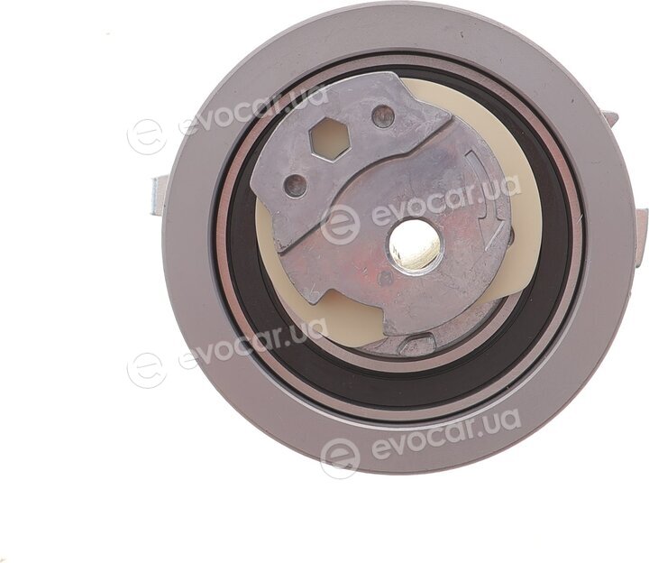 Motive TBK4982WP