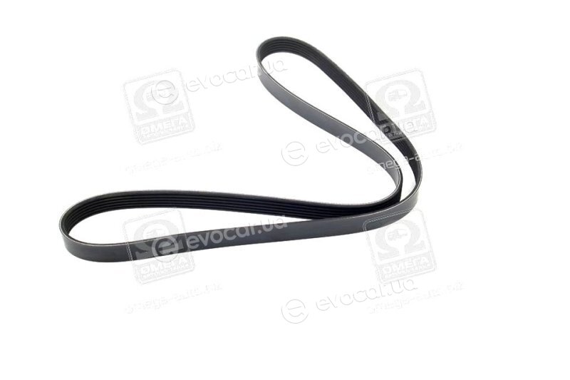 Dayco 6PK1355