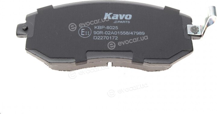 Kavo KBP-8025