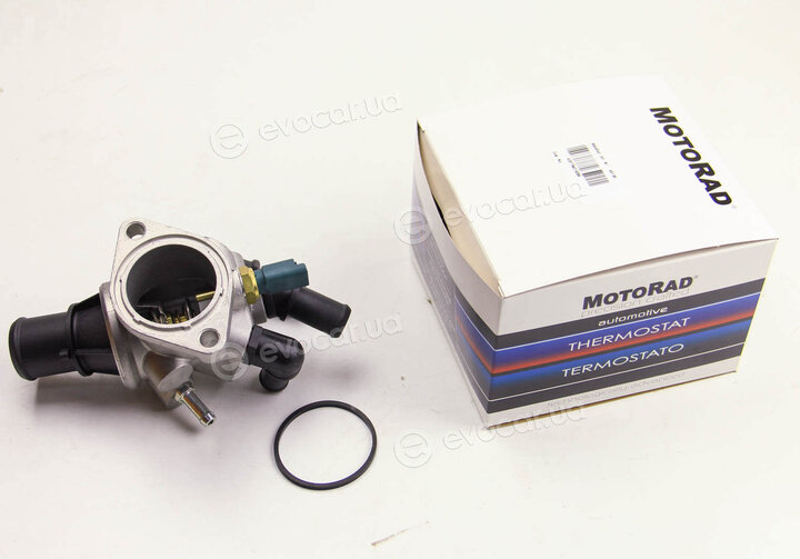 Motorad 491-88K