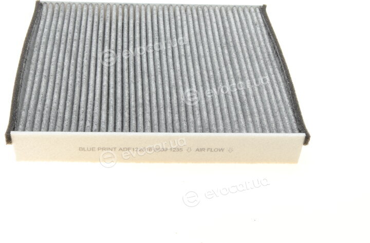 Blue Print ADF122516