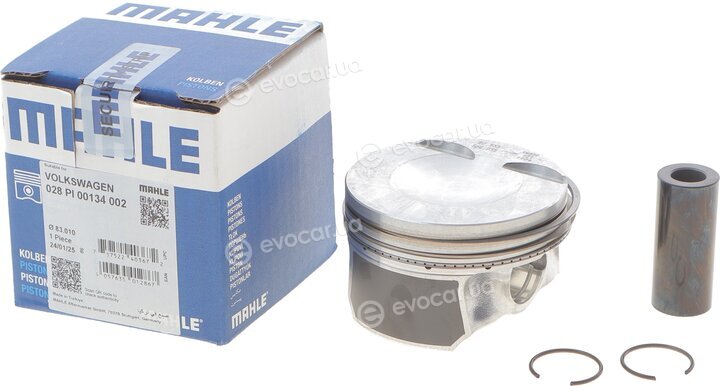 Mahle 028 PI 00134 002